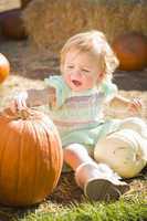 adorable baby girl holding a pumpkin at the pumpkin patch.