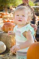 adorable baby girl having fun at the pumpkin patch.