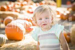 adorable baby girl having fun at the pumpkin patch.