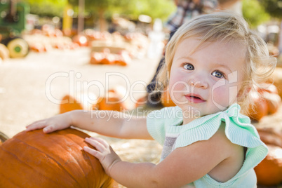 adorable baby girl having fun at the pumpkin patch.