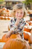 little boy gives thumbs up  at pumpkin patch.