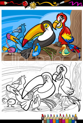 exotic birds group for coloring book