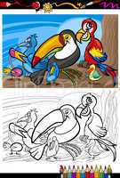 exotic birds group for coloring book