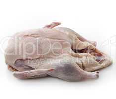 raw whole duck