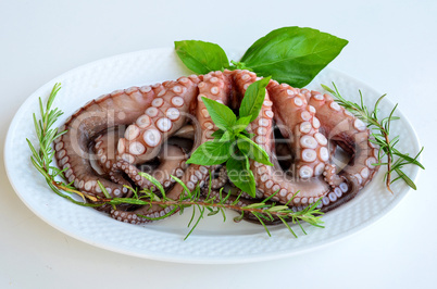 fresh octopus 1