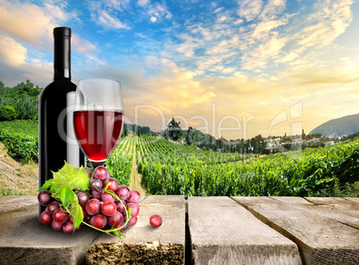 Wine with grape and vineyard