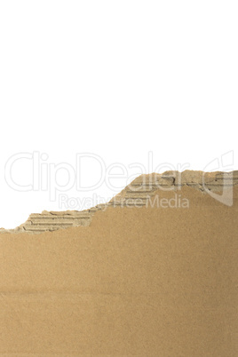 ripped cardboard