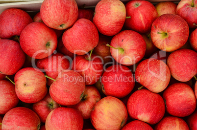 red apples