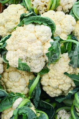 cauliflower