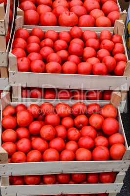 tomato in crates