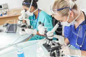 female scientific research team using microscopes in laboratory