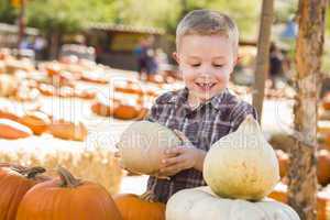little boy gathering his pumpkins at a pumpkin patch.