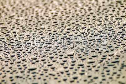 drops on water-repellent surface