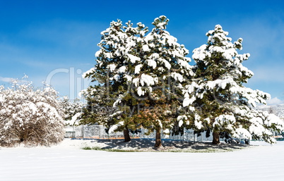 Winterlandschaft