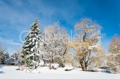 Winterlandschaft