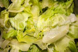 fresh pile of lettuce