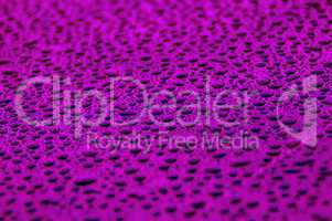 purple water drops on water-repellent surface