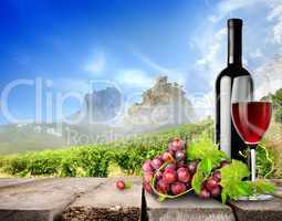 Bottle wine and vineyard