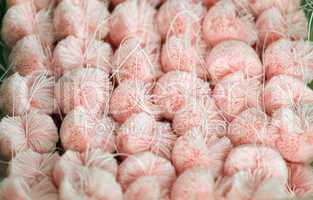 Fluffy pink pompoms for baby clothes
