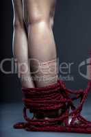 Slender woman's legs tied with red rope