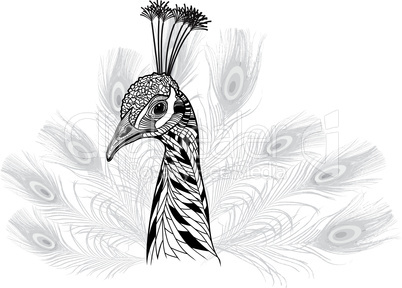 peacock bird head as symbol for mascot or emblem design