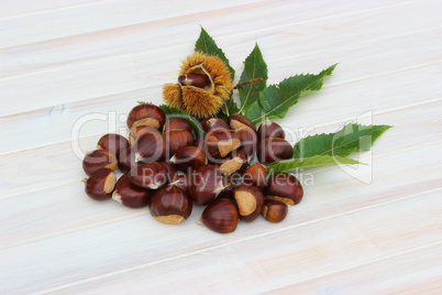 Pile of chestnuts