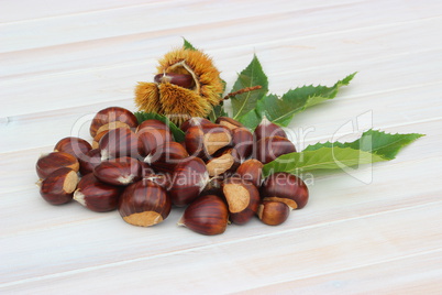 pile of chestnuts