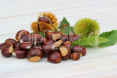 Pile of chestnuts