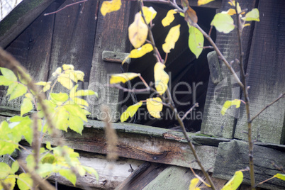 abandoned old barn door