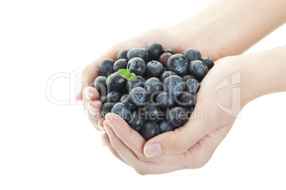 blueberry goodness