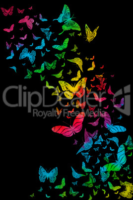 rainbow butterflies