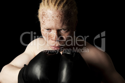 albino boxer