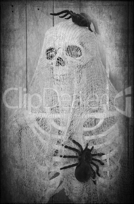 creepy halloween skeleton