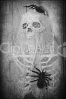 creepy halloween skeleton