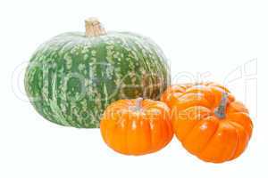 pumpkins & squash