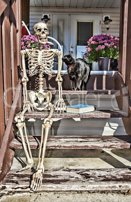 backstep skeleton & black cat