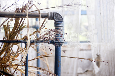 iron bed in abandoned room