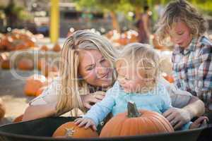 young family enjoys a day at the pumpkin patch