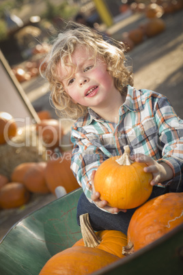 Cute little boy sitting and holding his pumpkin at pumpkin patch.