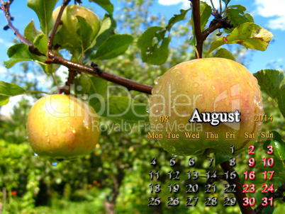 calendar for the august of 2014 year with apples