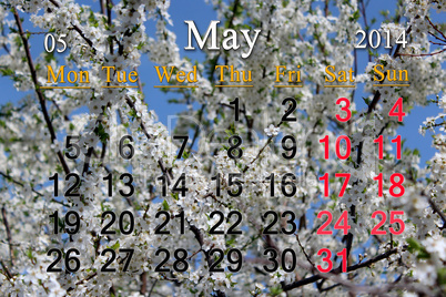 calendar for may of 2014 year with branch of blossoming cherry