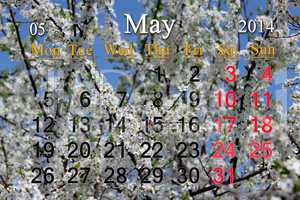 calendar for may of 2014 year with branch of blossoming cherry