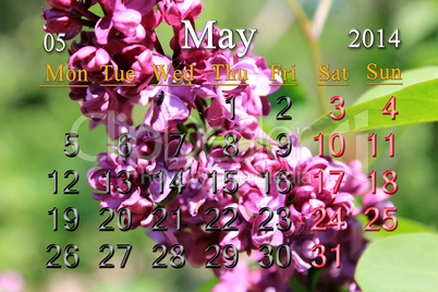 calendar for may of 2014 year with lilac