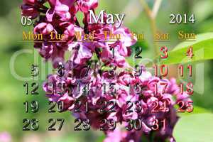 calendar for may of 2014 year with lilac