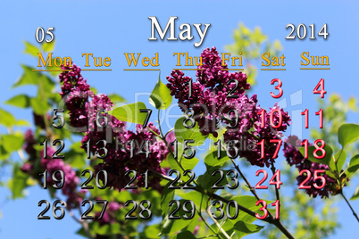 calendar for may of 2014 year with lilac