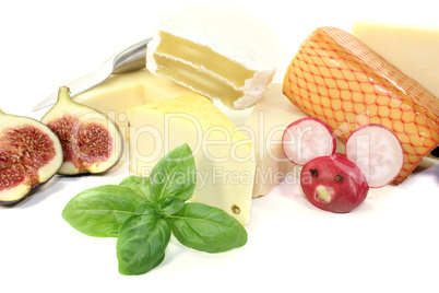 leckere auswahl an käse