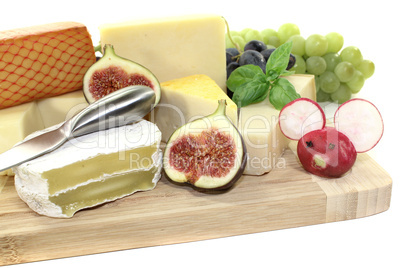 frische auswahl an käse