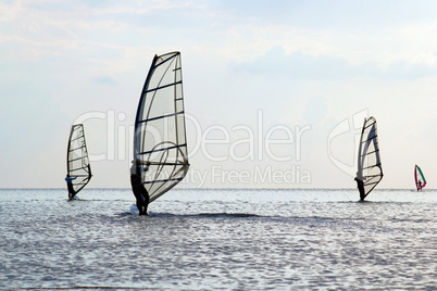 silhouettes of a four windsurfers