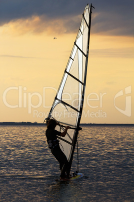 windsurfer