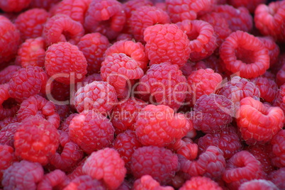 Raspberries